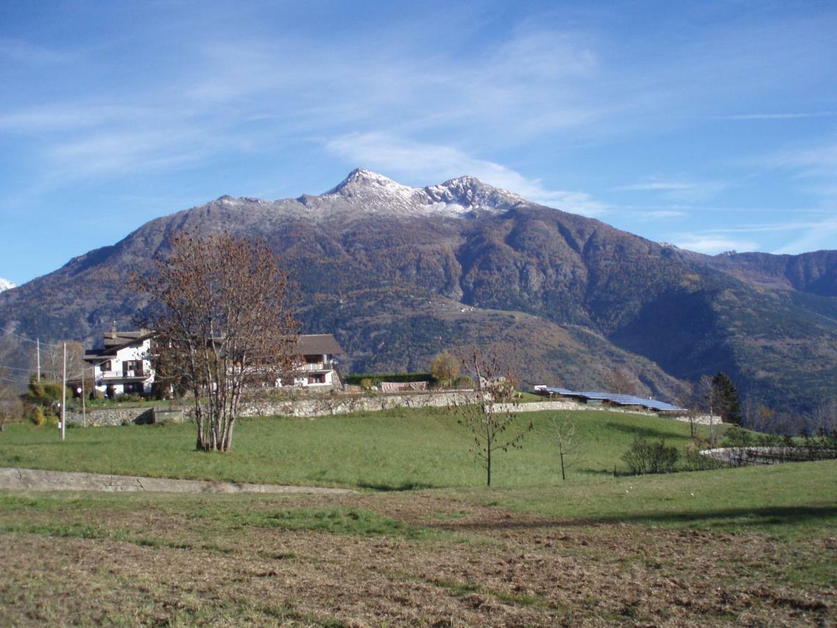 Agriturismo Plan D'Avie アオスタ エクステリア 写真